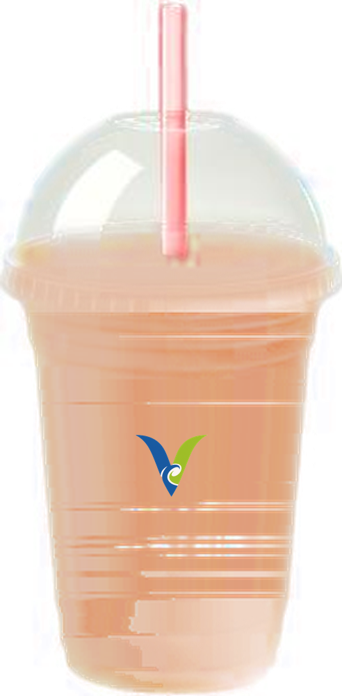 Mochaccino Protein Fuel blended in a Vyva Blend cup
